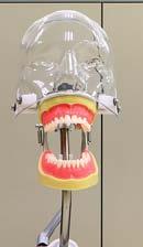 zakresie periodontologii, protetyki i chirurgii, związani z uczelniami na całym świecie.