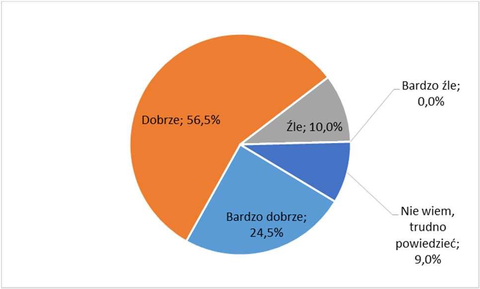 Wyniki badań ankietowych