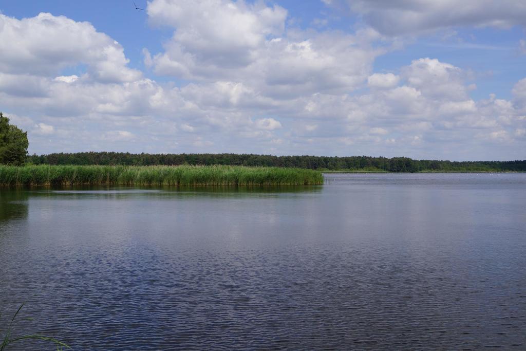 RODZINNE GOSPODARSTWO ROLNE- TYLKO DO 300 ha? A JEŚLI JEDEN STAW MA PONAD 300 ha?