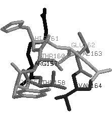 164 D. Mrozek, B. Małysiak-Mrozek, S. Kozielski, i in. 1. Wprowadzenie Funkcje biologiczne białek są zwykle wynikiem procesu fałdowania białek podczas procesu ich syntezy [1, 2, 3].