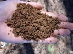 glebowych zgodnie z szeroko rozumianymi zasadami zrównoważonego rozwoju.