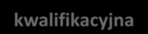 Komisja kwalifikacyjna zapoznaje się ze sprawozdaniem z ostatnich 3 lat pracy oraz analizuje dorobek zawodowy na podstawie przedłożonej przez niego dokumentacji i przeprowadzonej rozmowy.