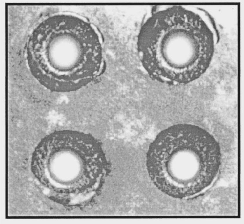 Wprowadzenie Mikroplazma pierwsza mikroplazma 1996 rok, Schoenbach, MHCD wymiary