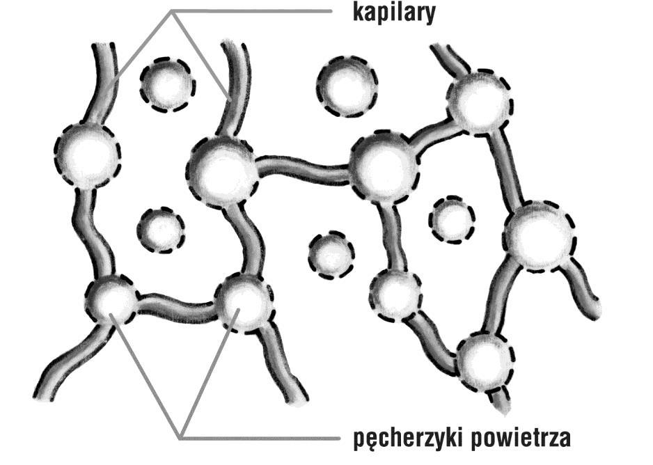 MITY O NAWIERZCHNIACH BETONOWYCH Brak możliwości stosowania chemicznych