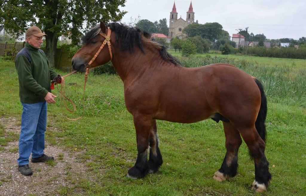 1. 27 G Bł BONUS, strona 10 Miejsce post.: Murawski Marek, ul.