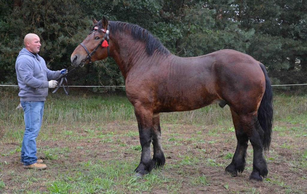 19. 2737 G Bł BLANKIET, strona 39 Wł: Iwaniuk Eugeniusz,