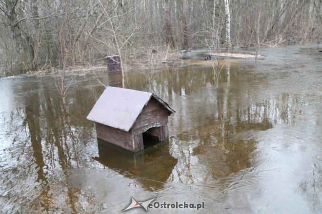 Analizowane zjawiska związane ze zmianami