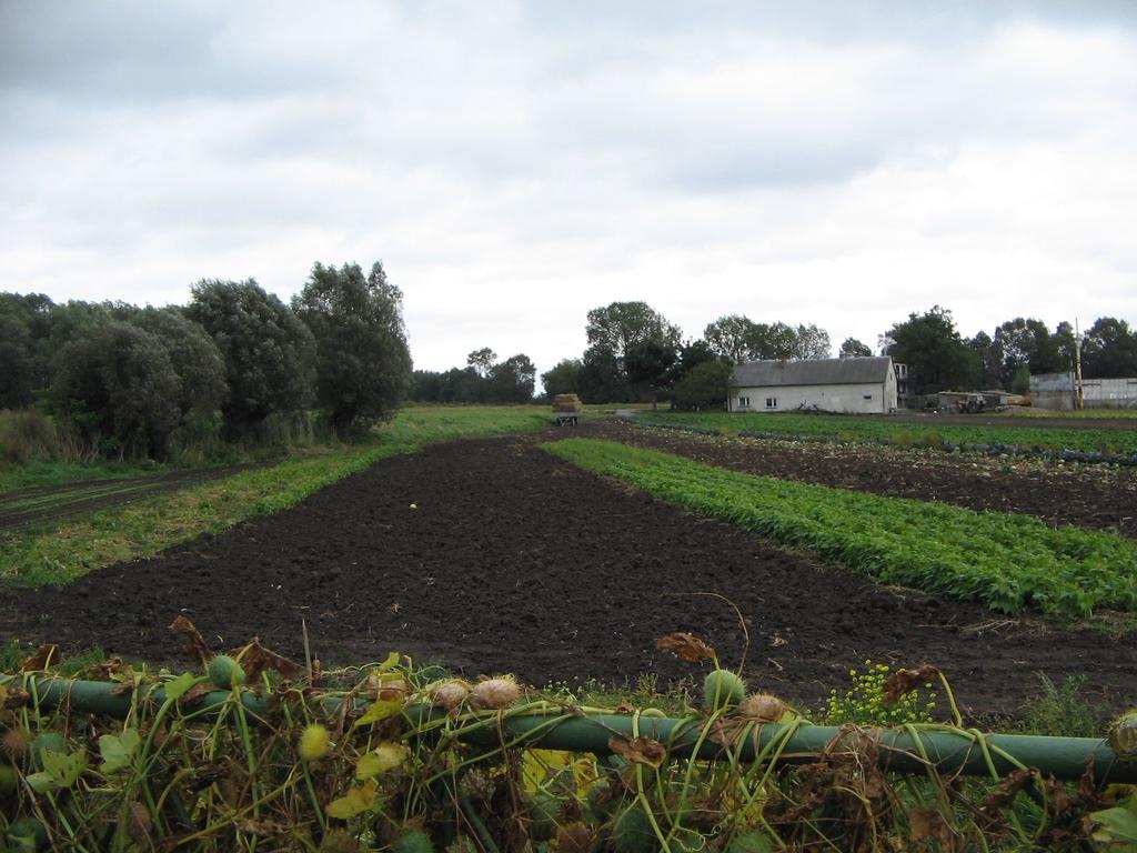 10.Tereny rolne 10.1 Charakterystyka użytkowania gruntów rolnych. Ogólna powierzchnia użytków rolnych w Gdańsku wynosi 9.882 ha co stanowi 37,7 % ogólnej powierzchni gminy, w tym 6.