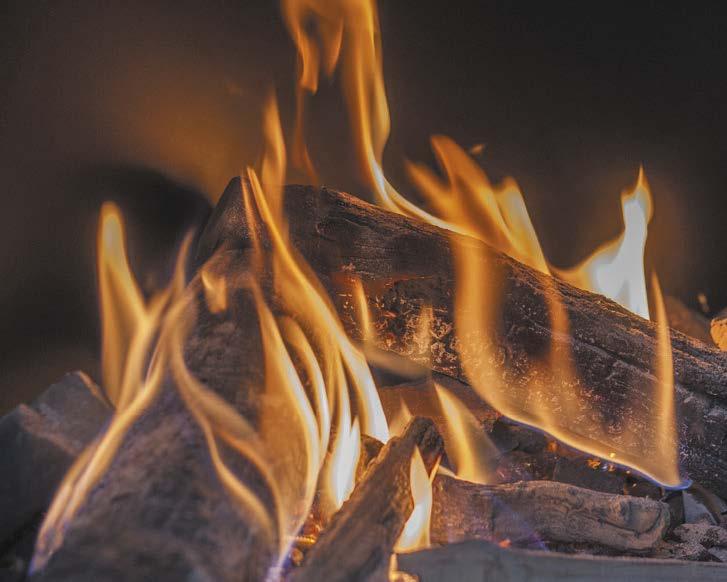 Log urner 2.0 zyste doznanie płonącego ognia Wraz z pierwszą generacją palników Log urner, w 2001 roku wprowadziliśmy płonące polana.