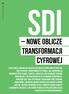 SDI. nowe oblicze transformacji cyfrowej