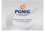 Wyniki finansowe PGNiG SA I kwartał 2008 roku