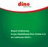 Raport za I półrocze 2019 r. Raport śródroczny. Grupy Kapitałowej Dino Polska S.A. za I półrocze 2019 r. Strona 1 z 20