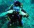 Open Water Diver/ Junior Open Water Diver: to kurs dla tych, którzy chcą rozpocząd