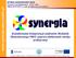 SYNERGIA. www.synergia.umcs.lublin.pl. Kształtowanie kompetencji studentów Wydziału Ekonomicznego UMCS poprzez zdobywanie wiedzy praktycznej