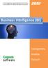 Business Intelligence (BI)