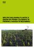 Wpływ zakładania plantacji drzew na prawa człowieka w prowincji Niassa w Mozambiku