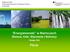 Energiewende w Niemczech Geneza, Cele, Wyzwania i Sukcesy. Płock