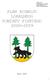 Załącznik nr 1 do Uchwały Nr XV/87/08 Rady Powiatu Pisz z dnia 31 stycznia 2008 r. PLAN ROZWOJU LOKALNEGO POWIATU PISKIEGO 2008-2009