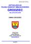 AKTUALIZACJA PLANU ODNOWY MIEJSCOWOŚCI GRODZIEC NA LATA 2012-2019 GMINA GRODZIEC