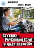 Anna Łuczak, Andrzej Najmiec. Czynniki psychospołeczne w pracy kierowców