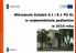 Wdrażanie Działań 6.1 i 8.1 PO KL w województwie podlaskim w 2010 roku