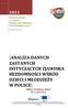 [ANALIZA DANYCH ZASTANYCH DOTYCZĄCYCH ZJAWISKA BEZDOMNOŚCI WŚRÓD DZIECI I MŁODZIEŻY W POLSCE] SERIA: Problemy dzieci Nr 1/2013 (1)