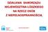 DZIAŁANIA SAMORZĄDU WOJEWÓDZTWA ŁÓDZKIEGO NA RZECZ OSÓB Z NIEPEŁNOSPRAWNOŚCIĄ. Łódź, 05 czerwca 2013 r.