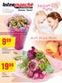 oferta ważna od czwartku 22 maja do środy 28 maja 1 szt. kalanchoe w torbie dekoracyjnej śr. doniczki 12 cm Z PROTEĄ