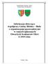 Informacja dotycząca współpracy Gminy Bielsko Biała z organizacjami pozarządowymi w ramach ogłaszanych Otwartych Konkursów Ofert w 2010 roku