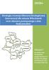 2020+ PROJEKT. Strategia rozwoju Obszaru Strategicznej Interwencji dla miasta Włocławek oraz obszaru powiązanego z nim funkcjonalnie