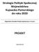 Strategia Polityki Społecznej Województwa Kujawsko-Pomorskiego do roku 2020