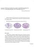 Właściwości probiotyczne szczepów Lactobacillus fermentum 57A, Lactobacillus plantarum 57B i Lactobacillus gasseri 57C. doktorant Marzena Król