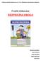 BEZPIECZNA DROGA. Projekt edukacyjny. Autorzy projektu: Anna Wójcicka Lidia Michalska Edyta Sadowska Anna Russ