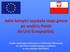 Zaprezentowanie korzyści jakie. nasza gmina i szkoła uzyskały po wstąpieniu Polski do Unii Europejskiej.