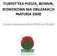 TURYSTYKA PIESZA, KONNA, ROWEROWA NA OBSZARACH NATURA 2000. Janina Kawałczewska RCEE w Płocku