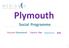 Plymouth. Social Programme. Safe