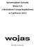 Sprawozdanie Zarządu Wojas S.A. z działalności Grupy Kapitałowej za I półrocze 2012