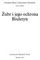 Żubr i jego ochrona Biuletyn