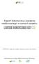 Raport statystyczny z badania realizowanego w ramach projektu