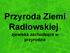 Przyroda Ziemi Radłowskiej - zjawiska zachodzące w przyrodzie