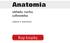 Anatomia. Kup książkę. układu ruchu człowieka. wydanie 2. poprawione