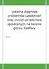 Lokalna diagnoza problemów uzależnień oraz innych problemów społecznych na terenie gminy Szaflary 2013-04-26