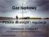 Gaz łupkowy. Polskie strategie i regulacje. Konferencja SCC, 18 listopada 2011 Perspektywy gazu niekonwencjonalnego w Polsce