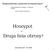 Honeypot - Druga linia obrony?