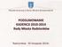 PODSUMOWANIE KADENCJI 2010-2014 Rady Miasta Radzionków. Radzionków 05 listopada 2014r.