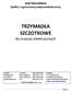 TRZYMADŁA SZCZOTKOWE do maszyn elektrycznych