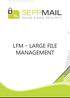 LFM Large File Management