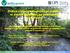 Ocena stanu ekologicznego cieków w zlewni rzeki Wel na podstawie ichtiofauny