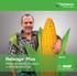 Retengo Plus. Więcej niż pierwszy fungicyd w ochronie kukurydzy!