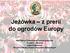 Jeżówka z prerii do ogrodów Europy. Narodowy Uniwersytet Farmaceutyczny Charków, Ukraina Jana Diakonowa Docent Katedry Chemii Związków Naturalnych